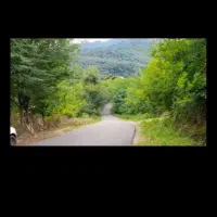 ویلا ماسال اجاره روزانه دو خوابه از امشب خالیه