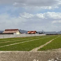 چهاردیواری ۴۰۰ متری داخل مجموعه باغی تیمیارت