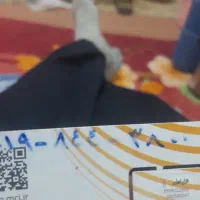 فروش سیمکارت ۰۹۱۹