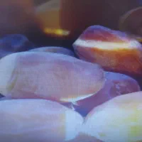 فروش رطب درجه ۱ به شرط ضمانت تازگی و با کیفیت