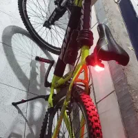 دوچرخه ویوا اصلی