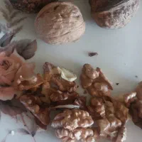 گردو|خوردنی و آشامیدنی|همدان, |دیوار