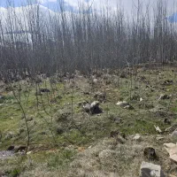 زمین-روستای-کران