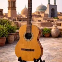آموزش گیتار کلاسیک و گیتار الکتریک بانوان و آقایان