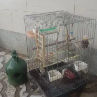 قفس پرنده در آق تپه