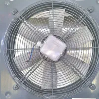 فن مارک دمنده
