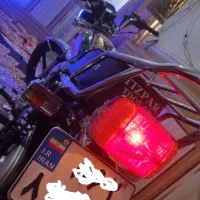 تیزپر 200خشک پلاک شهرستان قیمت شکاری