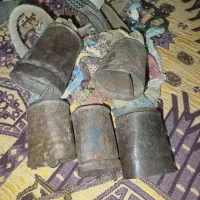 زنگول دور دم و یک دوکارد یادگاری