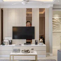 ترمو آینه تیوی