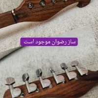 ساز حرفه ای