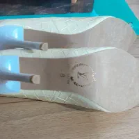 کفش مجلسی