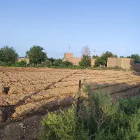 زمین کشاورزی