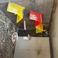 قفس کبوتر