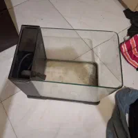 آکواریوم دلسا delsa