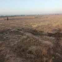 1200 متر نزدیک جاده کلات
