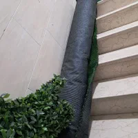 چمن و فنس برگ ریحون
