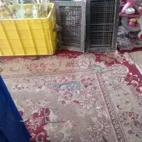 لوستر فروش فوری