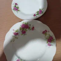 بشقاب گلسرخی