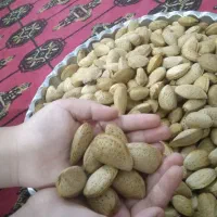بادام