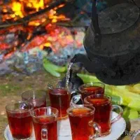 گروه دورهمی دخترونه