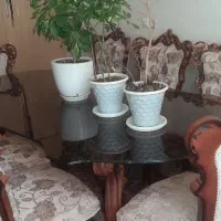 میز نهار خوری ۶ نفره
