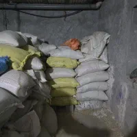 کنسانتره گوساله پروار