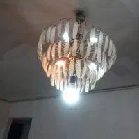 لوستر سالم