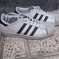 کتونی