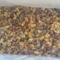کشمش|خوردنی و آشامیدنی|دامغان, |دیوار