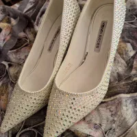 کفش مجلسی