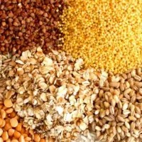 فروش دان آماده پرواری و سویا