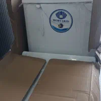 فرنگی مگا درجه ۱ مروارید