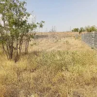 زمین-باغ-ویلا-شاهنامه-فردوسی