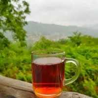 چایی دستی و چایی بهاره سیاهکل