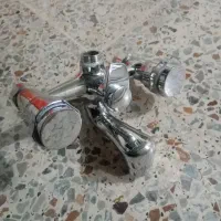 شیر دو قلو حمام
