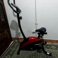 دوچرخه ثابت پاندا