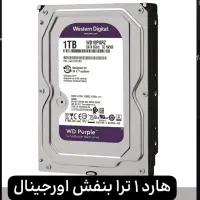 فروش هارد وسترن بنفش کف بازار