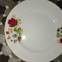 بشقاب پلوخوری