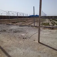 سرمایه گذاری در گلخانه