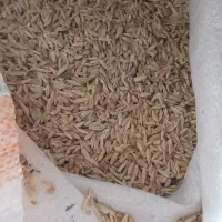 فروش جودیمی