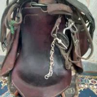 زین دهنه|اسب و تجهیزات اسبسواری|رفسنجان, |دیوار