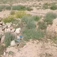 فروش زمین خانه سر