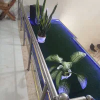 درخواست شریک