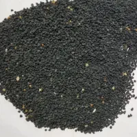 تخم ( بذر) موسیر