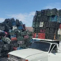 خرید سبد و کارتن موزی