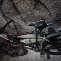 دوچرخه فروشی سند داره