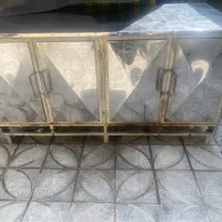 فر دوقلو