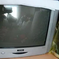 تلوزیون