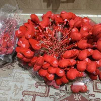 حدود 100 عدد قلب