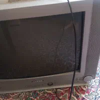 تلویزیون